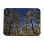 Tunesien, Wüste Sahara, Douz, Zone Touristique, 2 Magnet (Horizontal)