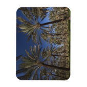 Tunesien, Wüste Sahara, Douz, Zone Touristique, 2 Magnet (Vertikal)