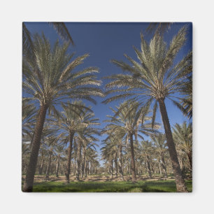 Tunesien, Wüste Sahara, Douz, Zone Touristique, 2 Magnet