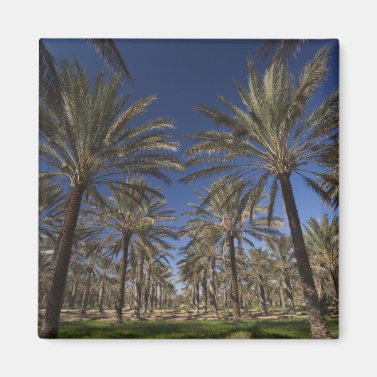 Tunesien, Wüste Sahara, Douz, Zone Touristique, 2 Magnet (Vorne)