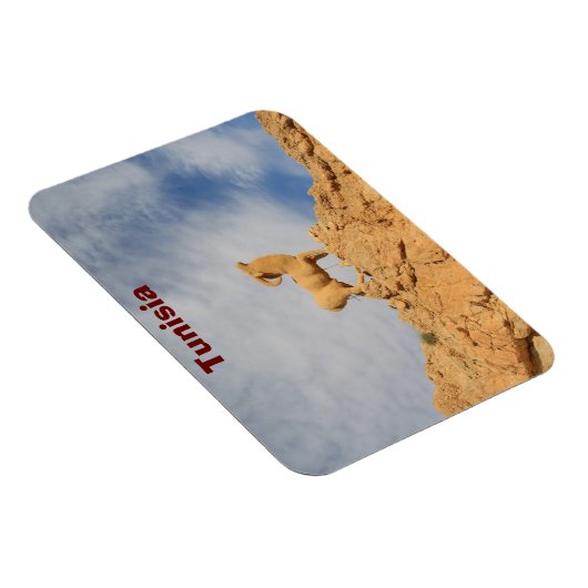 Tunesier Ziegenstatue Magnet (Rechte Seite)
