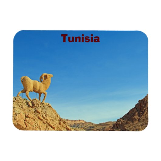 Tunesier Ziegenstatue Magnet (Horizontal)