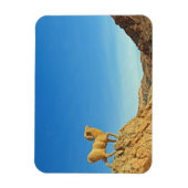 Tunesier Ziegenstatue Magnet (Vertikal)