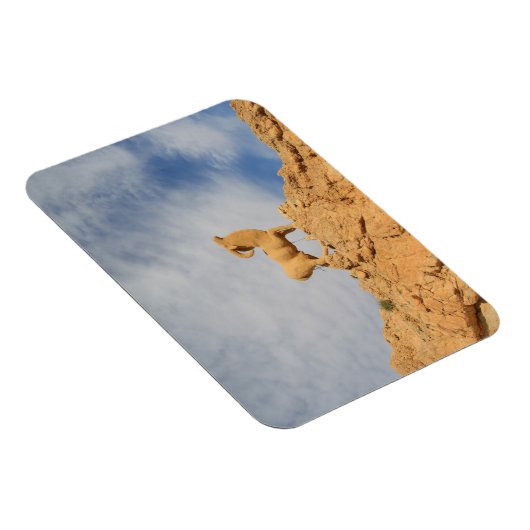 Tunesier Ziegenstatue Magnet (Rechte Seite)