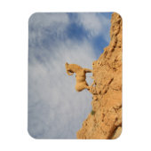 Tunesier Ziegenstatue Magnet (Vertikal)