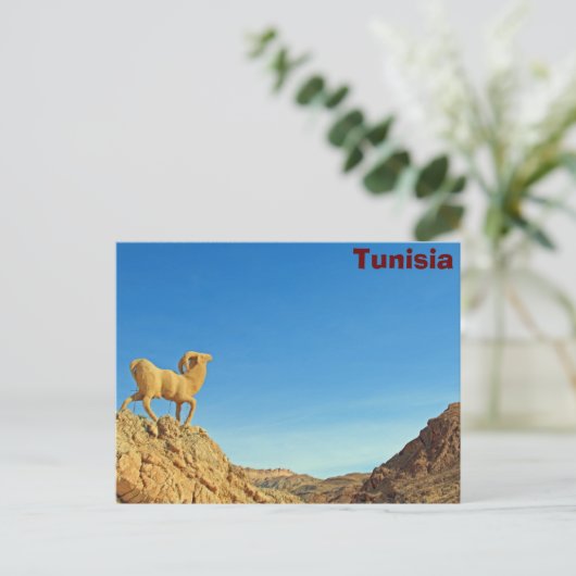 Tunesier Ziegenstatue Postkarte (Stehend Vorderseite)