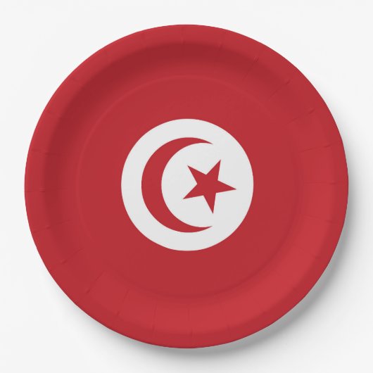 Tunesische Flagge Pappteller (Vorderseite)
