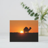Tunesische Wüste bei Sonnenuntergang Postkarte (Stehend Vorderseite)
