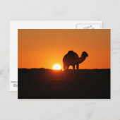 Tunesische Wüste bei Sonnenuntergang Postkarte (Vorne/Hinten)