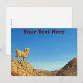 Tunesische Ziegenkarte (Vorne/Hinten)