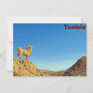 Tunesische Ziegenstatuenkarte