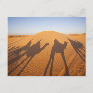 Tunisia, Ksour Area, Ksar Ghilane, Grand Erg 5 Postkarte