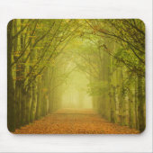 Tunnel des Lichtes im Waldmousepad Mousepad (Vorne)