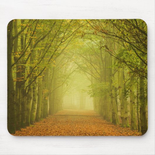 Tunnel des Lichtes im Waldmousepad Mousepad (Vorne)