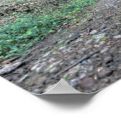 Tunnel Moonville, Landkreis Vinton, Ohio Poster (Ecke)