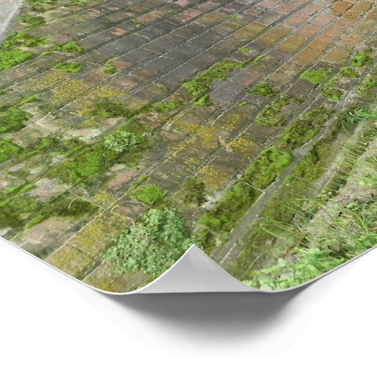 Tunnel Poster (Ecke)