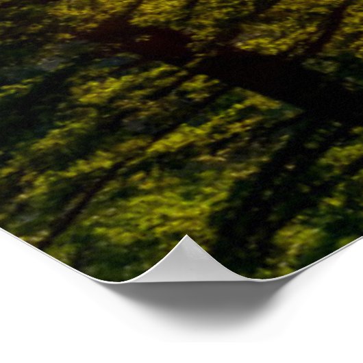 Tunnelansicht Poster (Ecke)