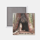 Tunnelbaum - Yosemite Magnet (Vorderseite/Rückseite)