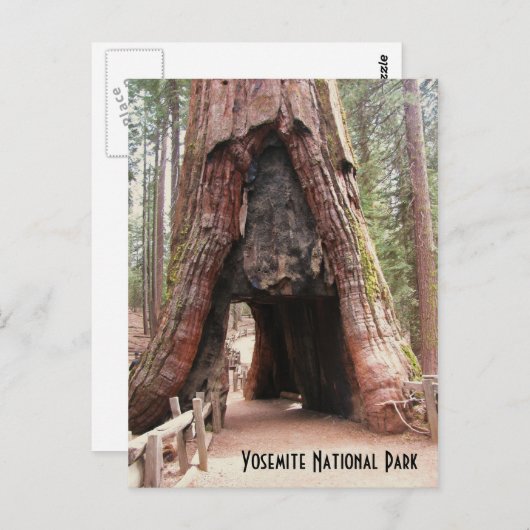 Tunnelbaum - Yosemite Postkarte (Vorne/Hinten)