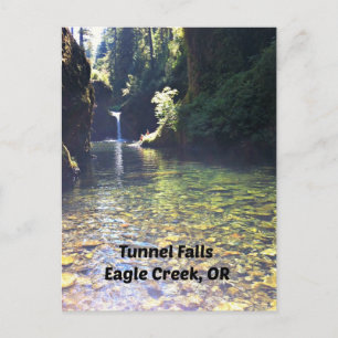 Tunnelfälle, Adlerbrasse, Oregon Postkarte