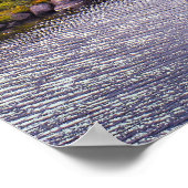 Tuolumne Meadow & Tuolumne Creek Poster (Ecke)