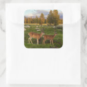 Tuolumne Meadow, Yosemite Quadratischer Aufkleber (Tasche)