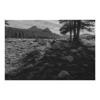 Tuolumne Meadows of Yosemite National Park Fotodruck