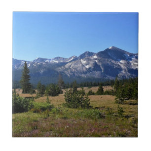 Tuolumne Meadows, Yosemite, CA Fliese