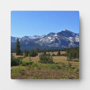 Tuolumne Meadows, Yosemite, CA Fotoplatte