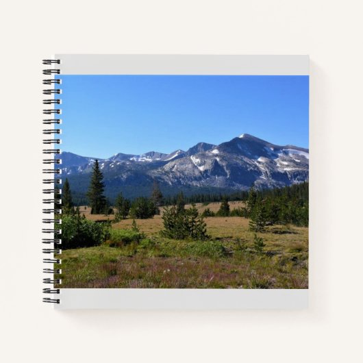 Tuolumne Meadows, Yosemite, CA Notizblock (Vorderseite)