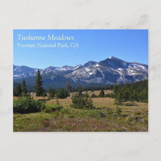 Tuolumne Meadows, Yosemite, CA Postcard Postkarte (Vorderseite)