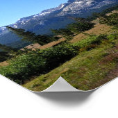 Tuolumne Meadows, Yosemite, CA Poster (Ecke)