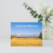 Tuolumne Meadows Yosemite Postkarte (Stehend Vorderseite)