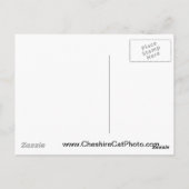 Tuolumne Meadows Yosemite Postkarte (Rückseite)