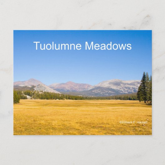 Tuolumne Meadows Yosemite Postkarte (Vorderseite)