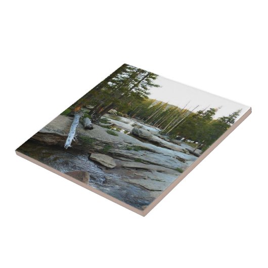 Tuolumne River by Campground, Yosemite, CA Fliese (Seite)