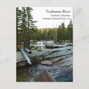 Tuolumne River by Campground, Yosemite, CA Postcar Postkarte