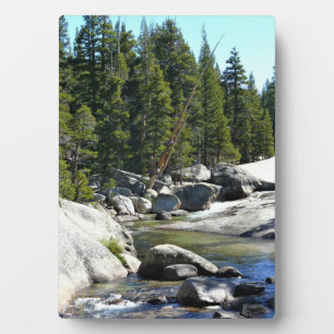 Tuolumne River in Tuolumne Meadows, Yosemite, CA Fotoplatte