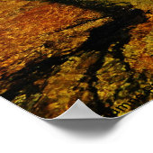 Tuolumne River, Tuolumne Meadows, Yosemite. Poster (Ecke)