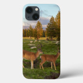 Tuolumne Wiese, Yosemite Case-Mate iPhone Hülle (Rückseite)