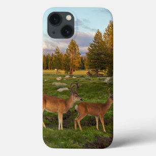 Tuolumne Wiese, Yosemite Case-Mate iPhone Hülle