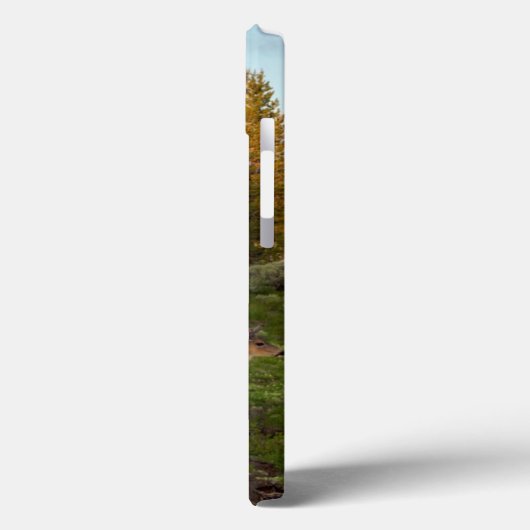 Tuolumne Wiese, Yosemite Case-Mate iPhone Hülle (Rückseite / Links)