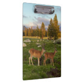 Tuolumne Wiese, Yosemite Klemmbrett (Rechts)