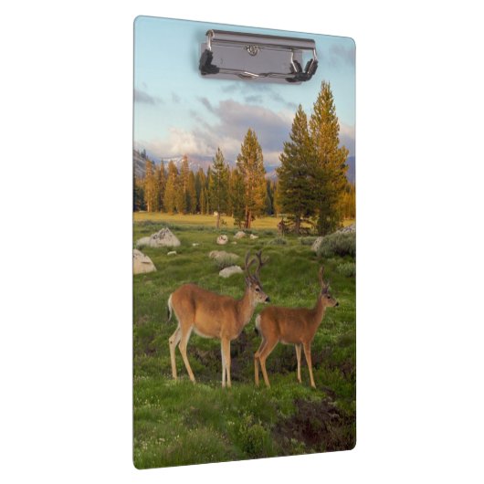 Tuolumne Wiese, Yosemite Klemmbrett (Rechts)