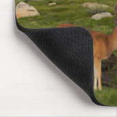 Tuolumne Wiese, Yosemite Mousepad (Ecke)