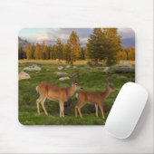 Tuolumne Wiese, Yosemite Mousepad (Mit Mouse)