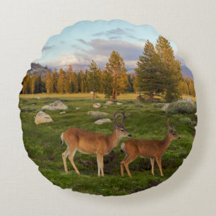 Tuolumne Wiese, Yosemite Rundes Kissen