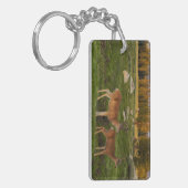 Tuolumne Wiese, Yosemite Schlüsselanhänger (Vorderseite links)