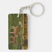 Tuolumne Wiese, Yosemite Schlüsselanhänger (Rückseite)