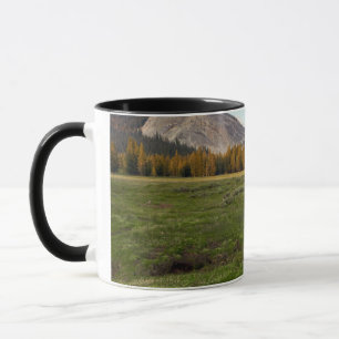 Tuolumne Wiese, Yosemite Tasse